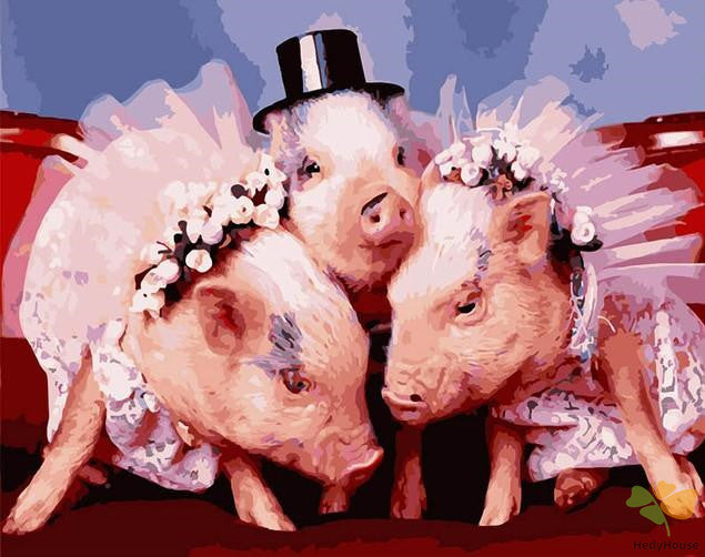 Animal Paint By Numbers Kits UK APG5875