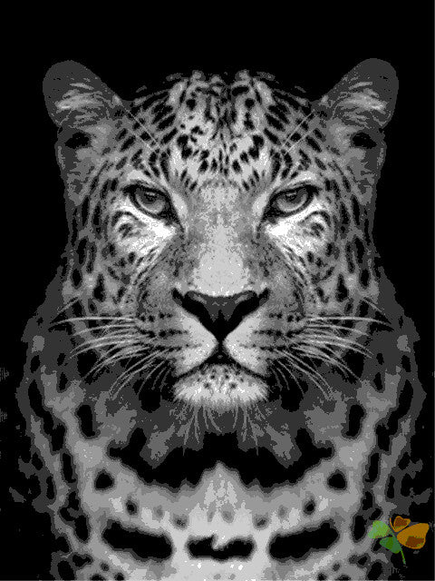 Animal Paint By Numbers Kits UK BAW6503