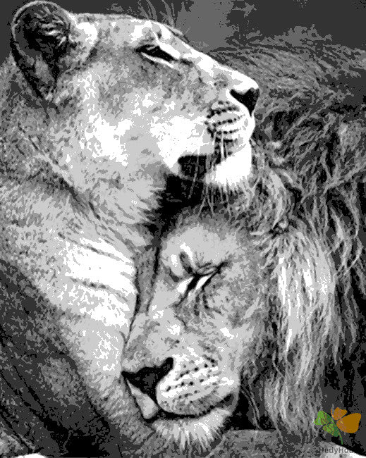 Animal Paint By Numbers Kits UK BAW6506