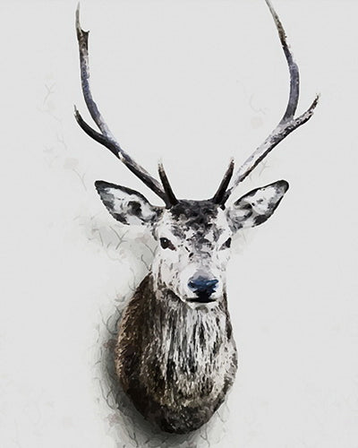 Animal Paint By Numbers Kits UK BAW6509