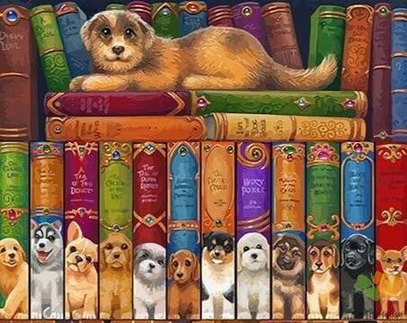 Still Life Paint By Numbers Kits UK BK5811