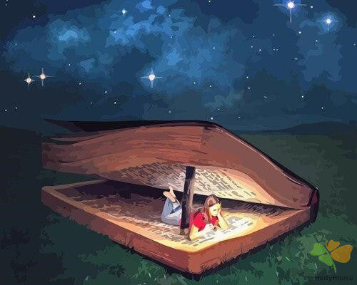 Still Life Paint By Numbers Kits UK BK5813