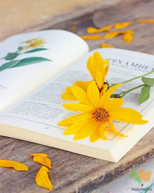 Still Life Paint By Numbers Kits UK BK5821