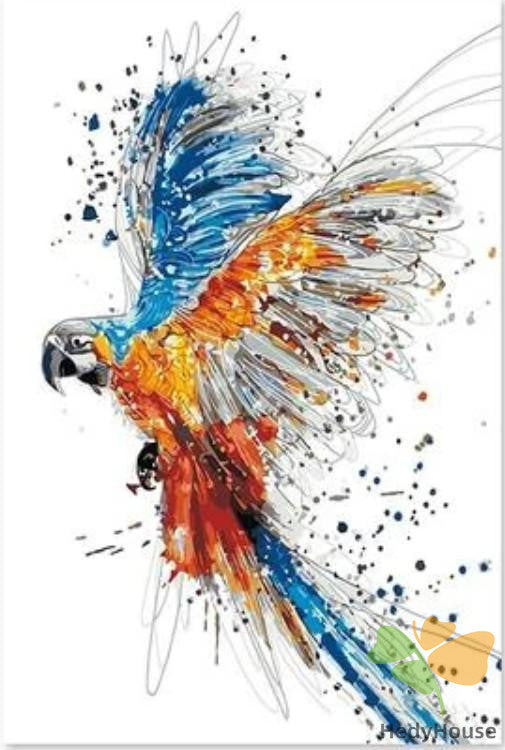 Birds Paint By Numbers Kits UK BN92709