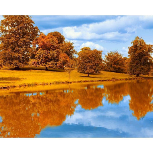 Natural Paint By Numbers Kits UK For Adult BR2008