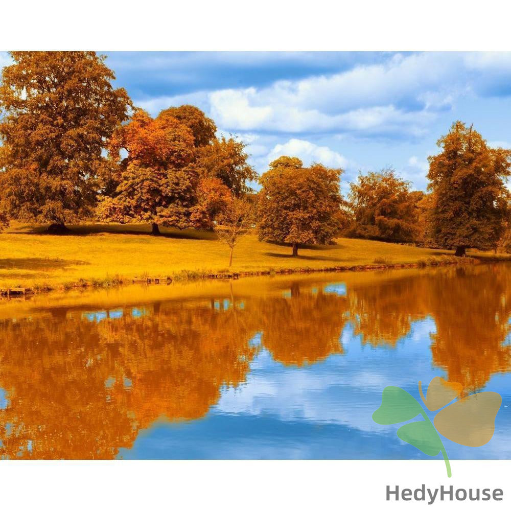 Nature Paint By Numbers Kits UK BR2008