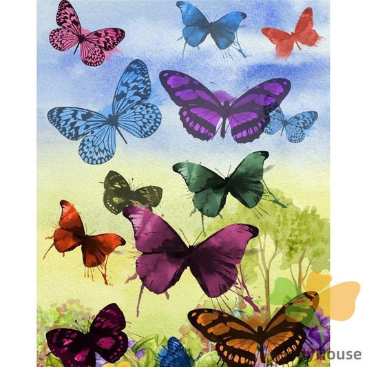 Birds Paint By Numbers Kits UK BR2010