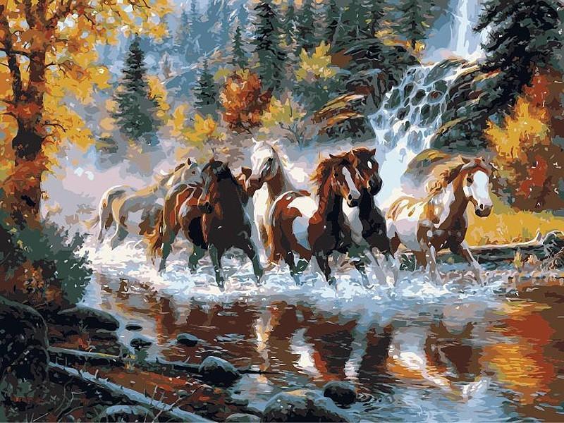 Animal Paint By Numbers Kits UK For Adult BR2021