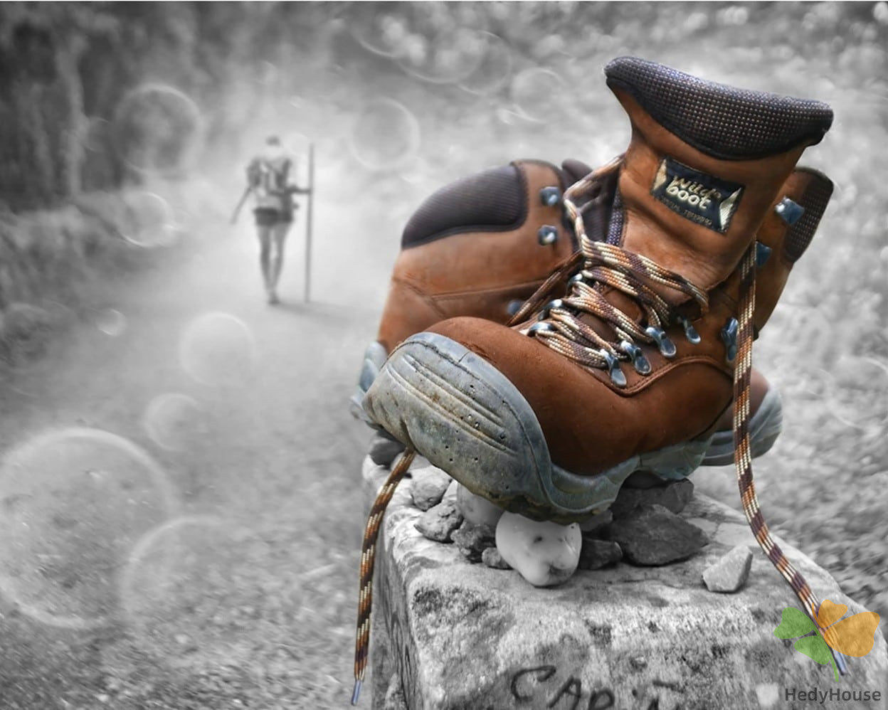 Still Life Paint By Numbers Kits UK BT4628