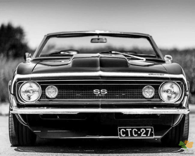 Engine Paint By Numbers Kits UK BWA3204