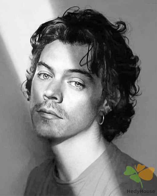 Portrait Paint By Numbers Kits UK BWH2301