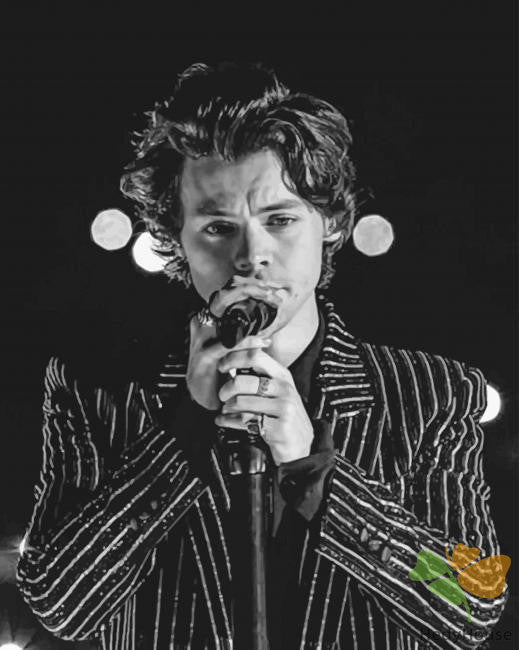 Portrait Paint By Numbers Kits UK BWH2303