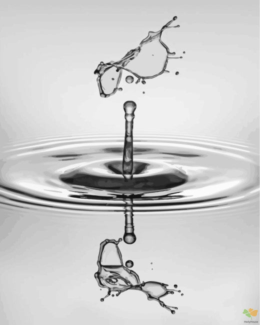 Moment Paint By Numbers Kits UK BWS1604