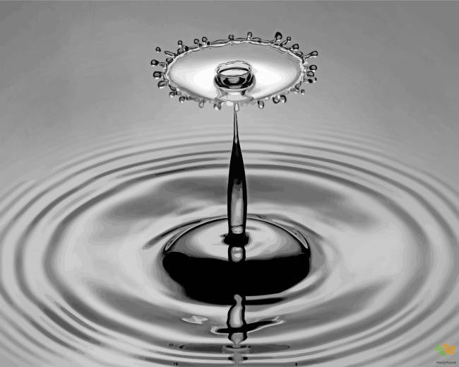 Moment Paint By Numbers Kits UK BWS1605