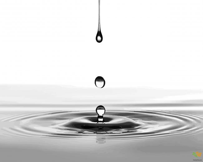 Moment Paint By Numbers Kits UK BWS1609