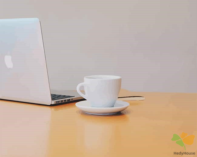 Still Life Paint By Numbers Kits UK CUP4528