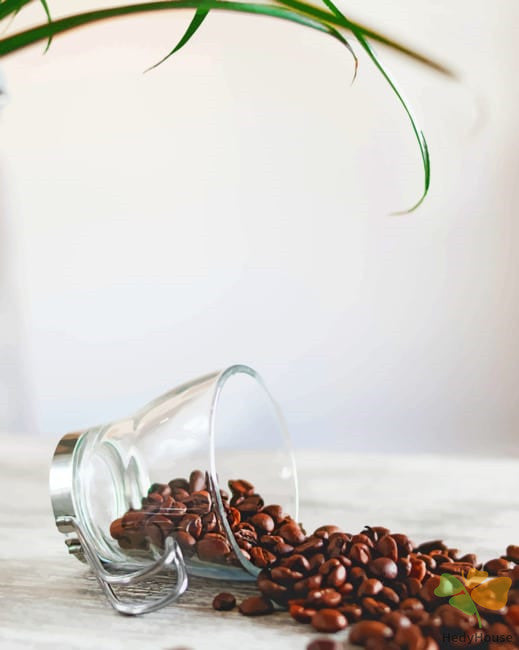 Still Life Paint By Numbers Kits UK CUP4532