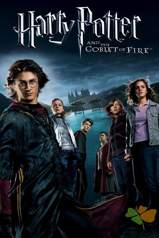 Movie Paint By Numbers Kits UK DP12383