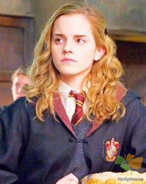 Movie Paint By Numbers Kits UK DP12396