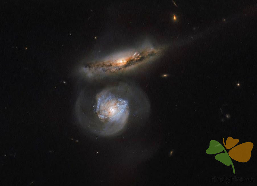 Nature Paint By Numbers Kits UK DP56574