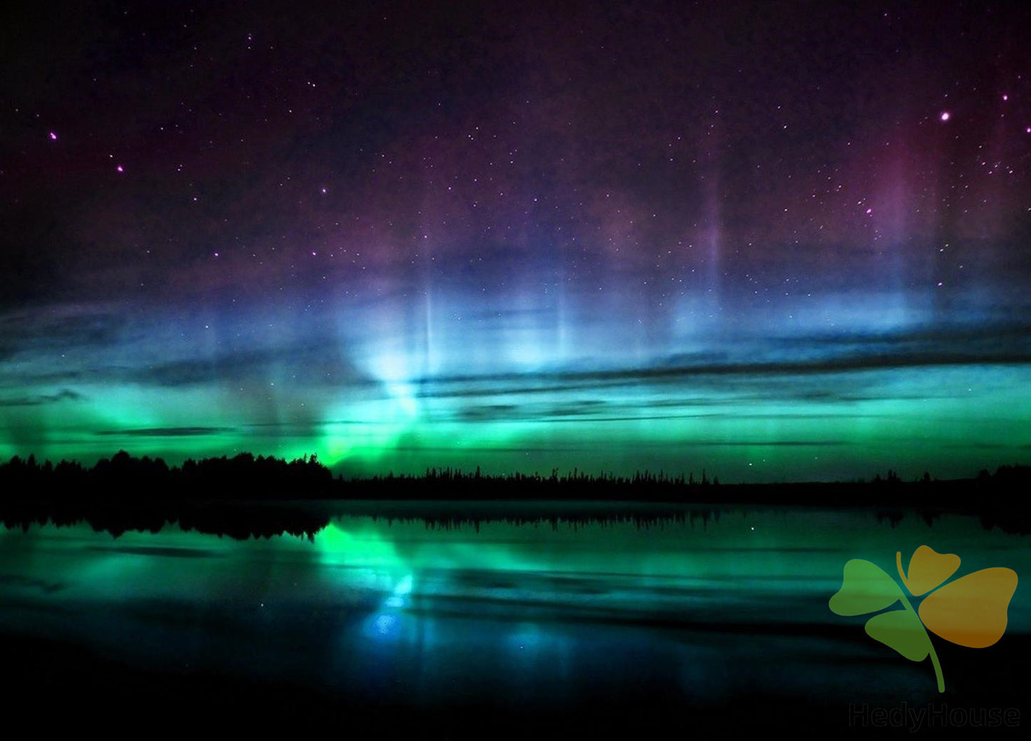 Nature Paint By Numbers Kits UK DP56930