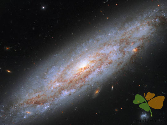 Nature Paint By Numbers Kits UK DP57745