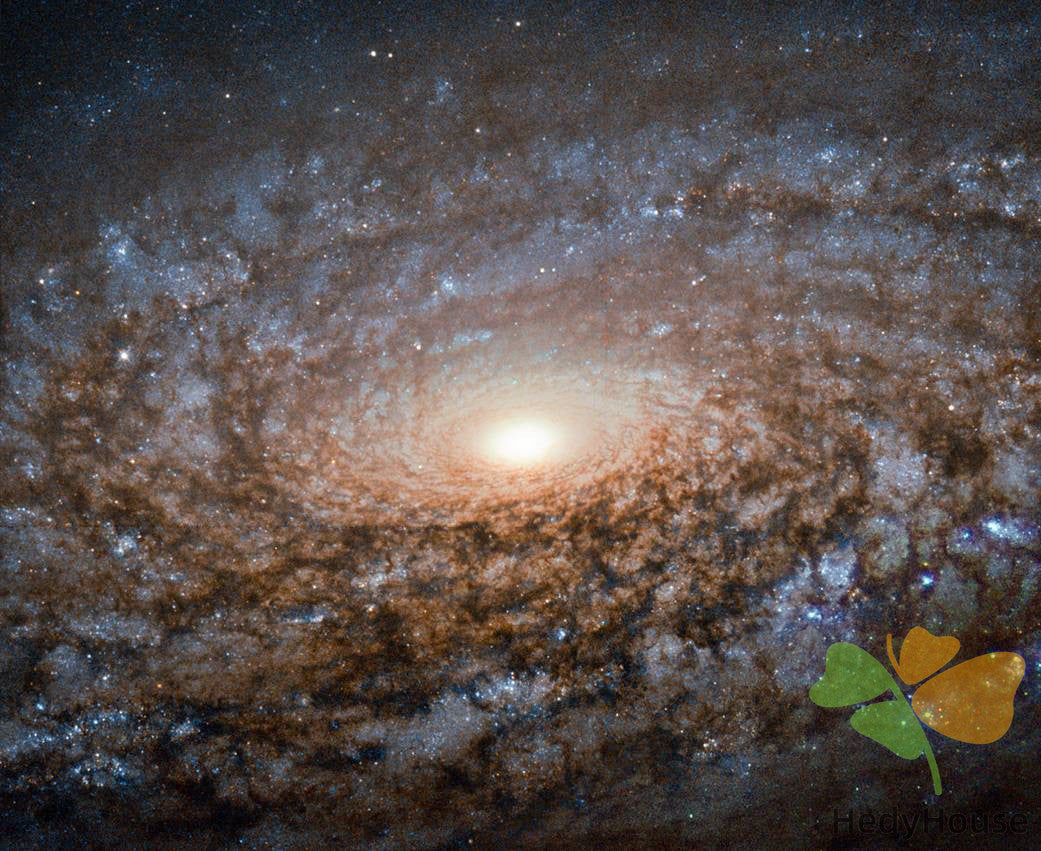 Nature Paint By Numbers Kits UK DP58468