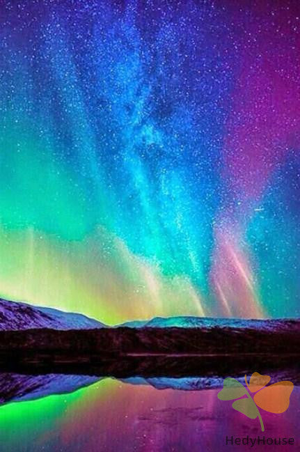 Nature Paint By Numbers Kits UK DP59450