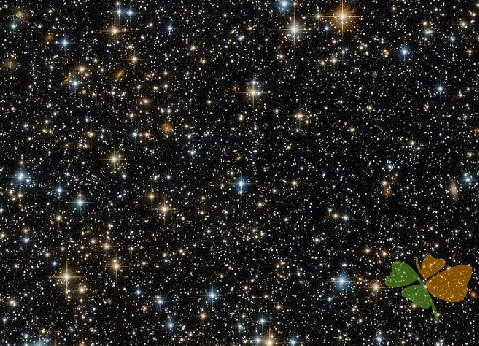 Nature Paint By Numbers Kits UK DP60435