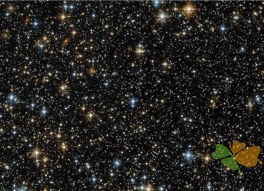 Nature Paint By Numbers Kits UK DP60435