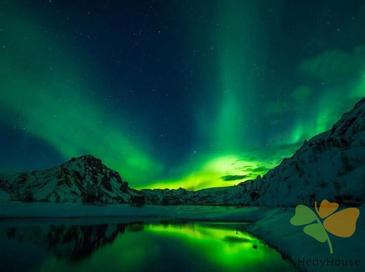 Nature Paint By Numbers Kits UK DP62931