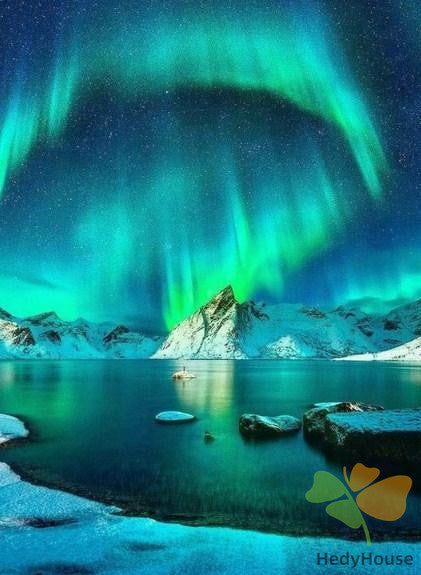 Nature Paint By Numbers Kits UK DP66043