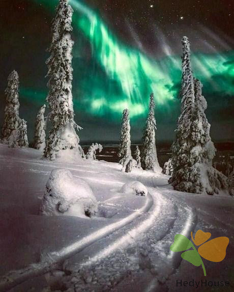 Nature Paint By Numbers Kits UK DP66326