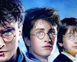 Movie Paint By Numbers Kits UK DQ33945