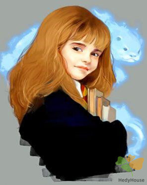 Movie Paint By Numbers Kits UK DQ61023