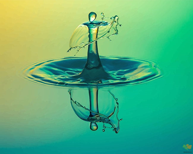 Moment Paint By Numbers Kits UK DRP5711