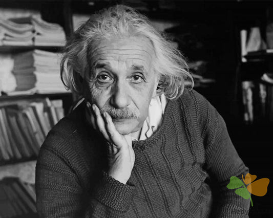 Portrait Paint By Numbers Kits UK EST5511