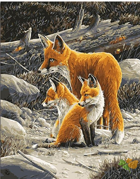 Animal Paint By Numbers Kits UK FOX7745