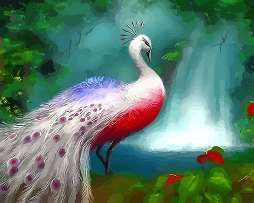 Bird Paint By Numbers Kits UK GX1523