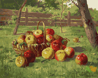 Still Life Paint By Numbers Kits UK GX21028