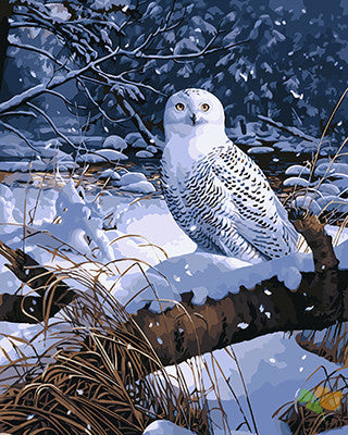 Animal Paint By Numbers Kits UK GX21048