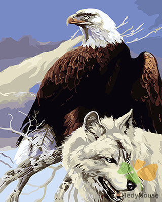 Birds Paint By Numbers Kits UK GX21051