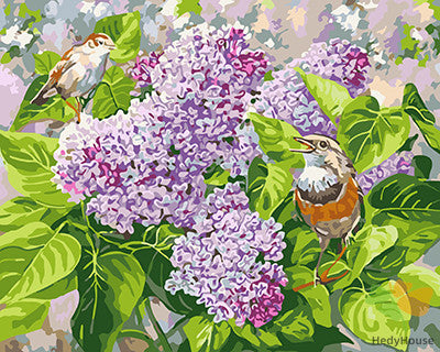 Flower Paint By Numbers Kits UK GX21052