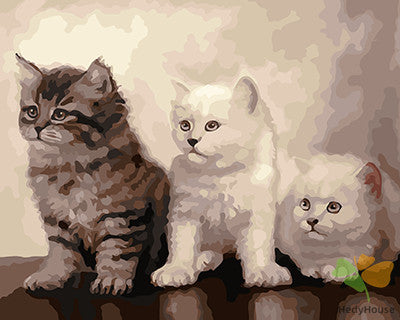 Cat & Dog Paint By Numbers Kits UK GX21053