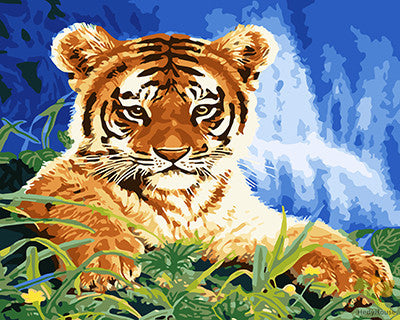 Animal Paint By Numbers Kits UK GX21055