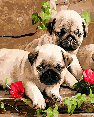 Cat & Dog Paint By Numbers Kits UK GX21059