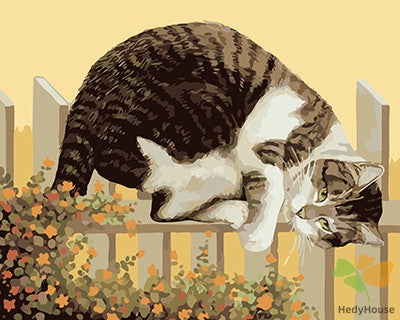 Cat & Dog Paint By Numbers Kits UK GX21060