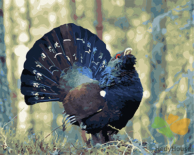 Birds Paint By Numbers Kits UK GX21062