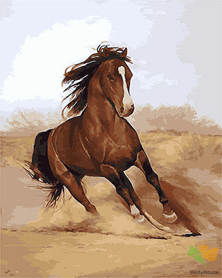 Animal Paint By Numbers Kits UK GX21126