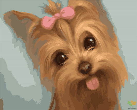 Cat & Dog Paint By Numbers Kits UK GX21157